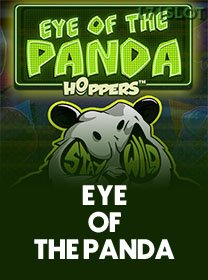 Eye Of The Panda